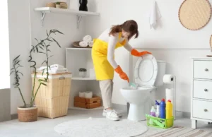 Professional cleaning Knightsbridge